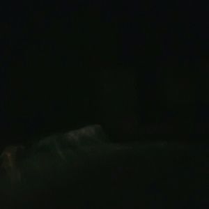 Meet your Posher, Debi