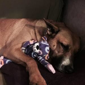 Meet your Posher, Cindy