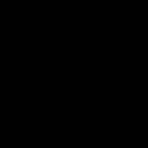 Meet your Posher, Desirea