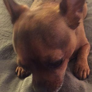 Meet your Posher, Trisha