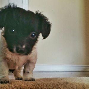 Meet your Posher, Keesha