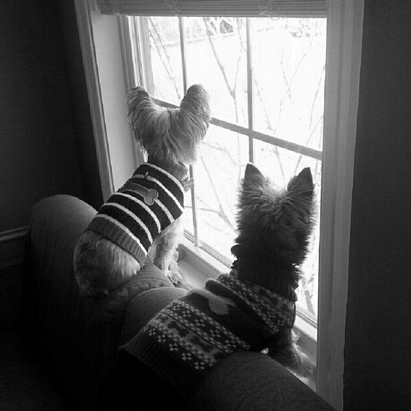 Meet your Posher, Cheryl - Picture 2 of 3