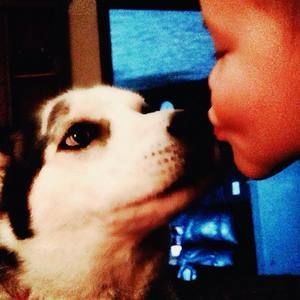 Meet your Posher, Shane