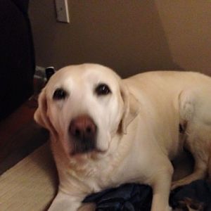 Meet your Posher, Karen