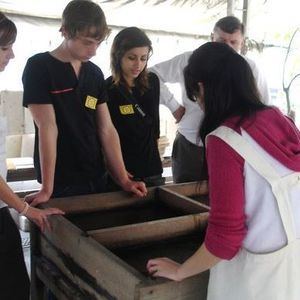 Meet your Posher, Melrose