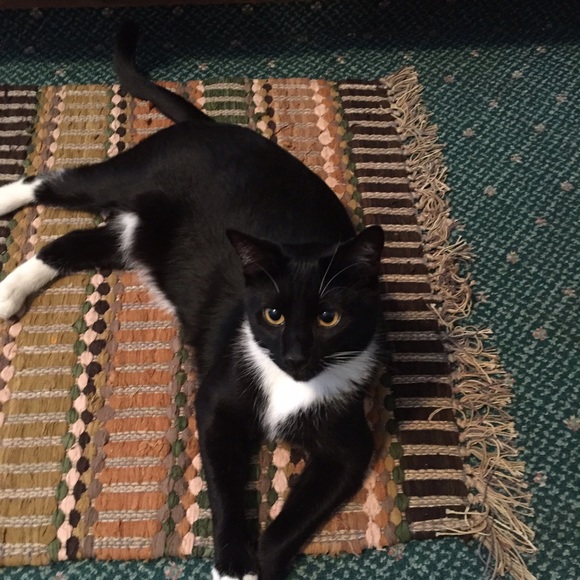 Meet your Posher, Cyndi My family is EVERYTHING!!! - Picture 3 of 7