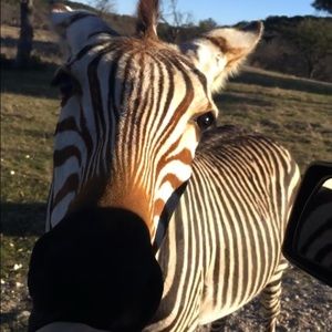 Meet your Posher, Iman