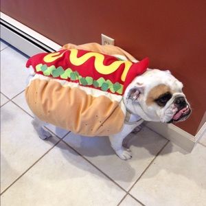 Meet your Posher, Yaneth