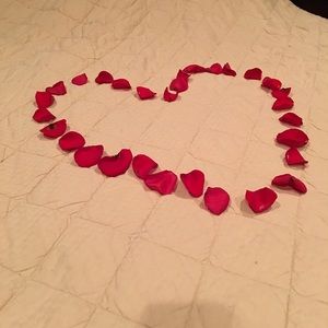 Meet your Posher, Lara