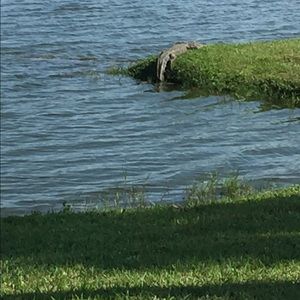 Meet your Posher, Martin