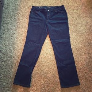 Ann Taylor LOFT Jeans