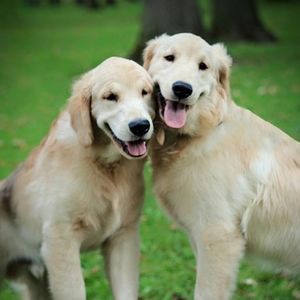 Meet your Posher, Peggy