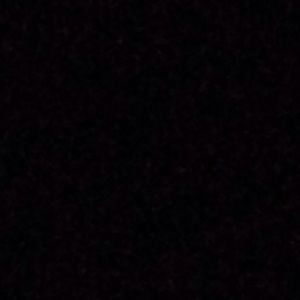 Meet your Posher, Dalton