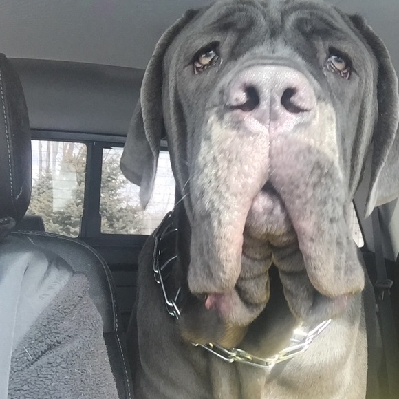 Meet your Posher, Becca - Picture 3 of 5