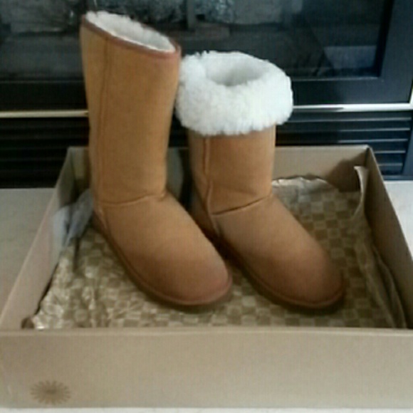 UGG Shoes - UGG - CLASSIC TALL CHESTNUT BOOTS