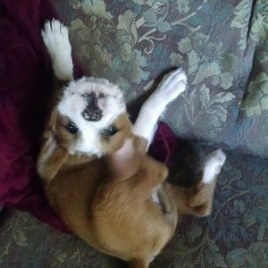 Meet your Posher, Jan