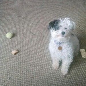 Meet your Posher, Kathy