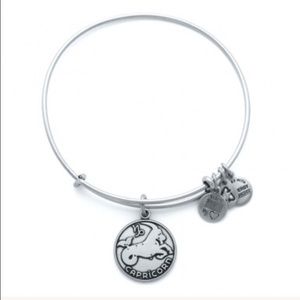 Alex and Ani Capricorn