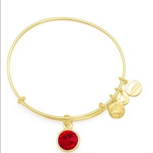 Alex and Ani January Birthstone