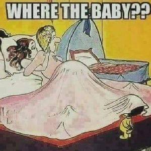 Meet your Posher, Camara