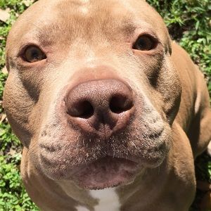 Meet your Posher, Kiry