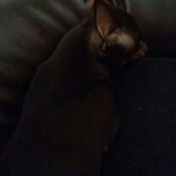 Meet your Posher, Jenny - Picture 1 of 1