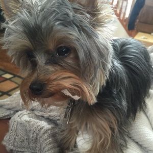 Meet your Posher, Lori