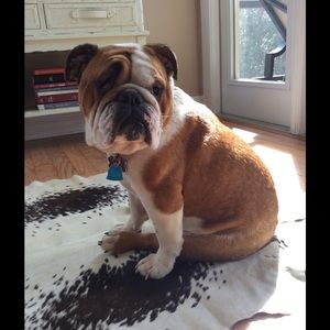 Meet your Posher, Fabiana