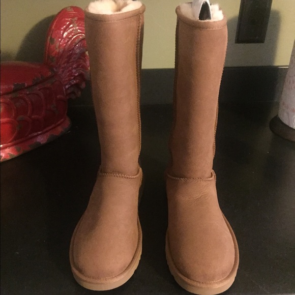 UGG Shoes - Uggs