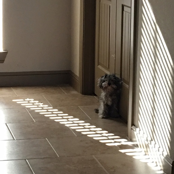 Meet your Posher, Gaby - Picture 3 of 7