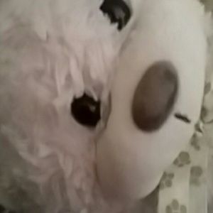 Meet your Posher, Abner