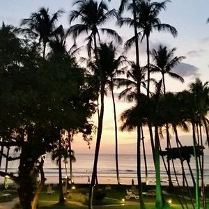 Meet your Posher, Bobby