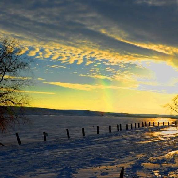 Meet your Posher, Karen