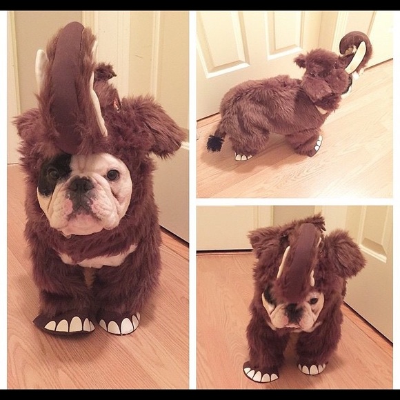 Meet your Posher, Makenna - Picture 1 of 1