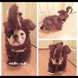 Meet your Posher, Makenna