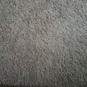 Meet your Posher, Maggie