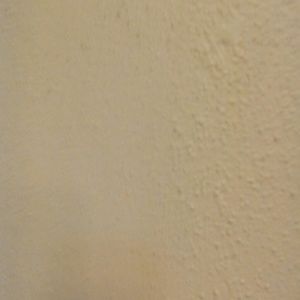 Meet your Posher, Dani