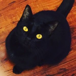 Meet your Posher, Peggy