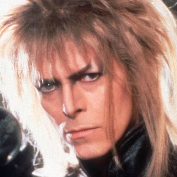 Meet your Posher, Jennifer - Picture 1 of 1