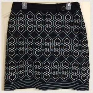 Ann Taylor Skirt
