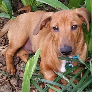 Meet your Posher, Lorna