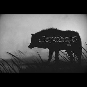 Meet your Posher, Brittney