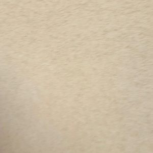 Meet your Posher, Susana