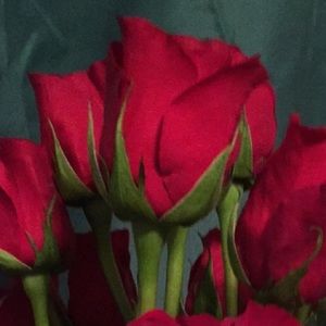 Meet your Posher, Marissa