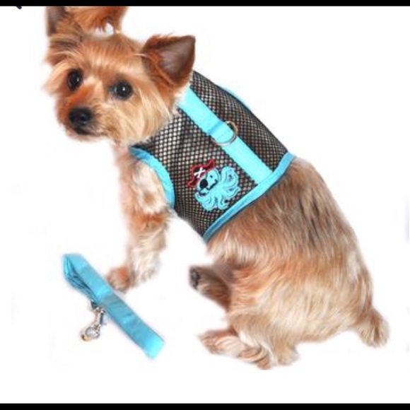 BNWT - Cool Mesh dog harness with matching leash. - Picture 1 of 4
