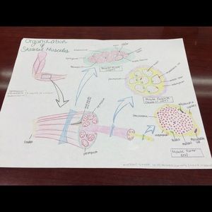 Meet your Posher, Jess