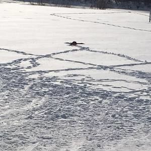 Meet your Posher, Abigail