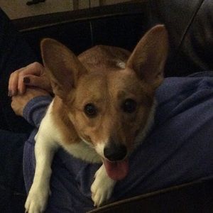 Meet your Posher, Alexandra