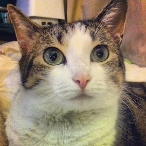 Meet your Posher, Torie