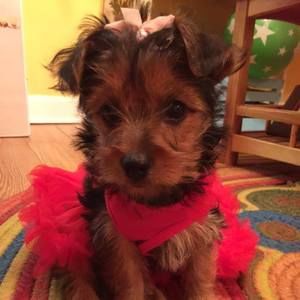 Meet your Posher, Darrell vicki